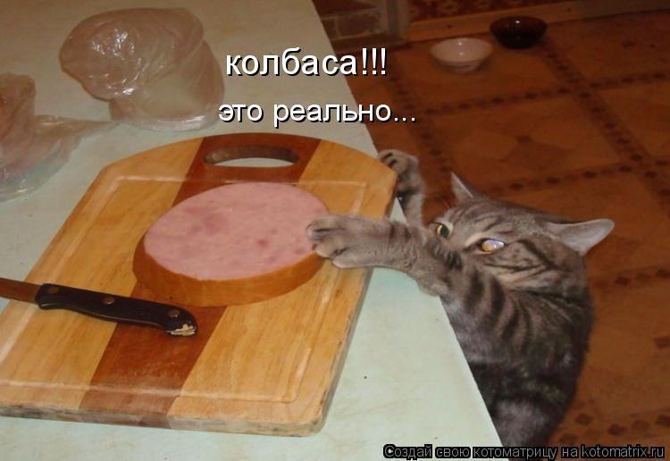 Котоматрица: колбаса!!! это реально...
