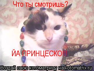 Котоматрица: Что ты смотришь? ЙА ПРИНЦЕСКО!!!