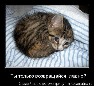 Котоматрица: Ты только возвращайся, ладно?