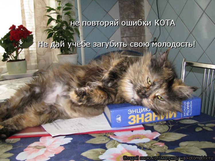 Котоматрица: не повторяй ошибки КОТА Не дай учёбе загубить свою молодость!