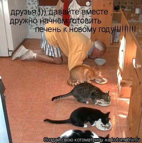 Котоматрица: друзья ))) давайте вместе ,  дружно начнём готовить  печень к новому году!!!!!!!!!