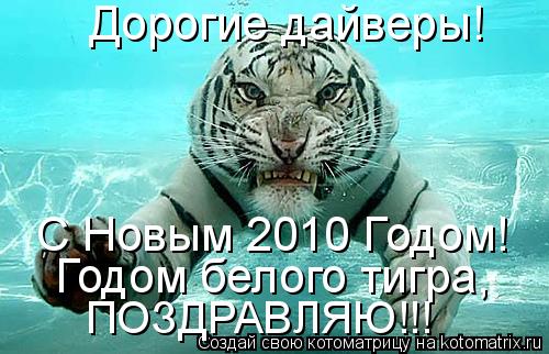 Котоматрица: Дорогие дайверы! С Новым 2010 Годом! Годом белого тигра, ПОЗДРАВЛЯЮ!!!