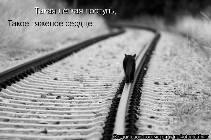 Котоматрица: Такое тяжёлое сердце... Такая лёгкая поступь,