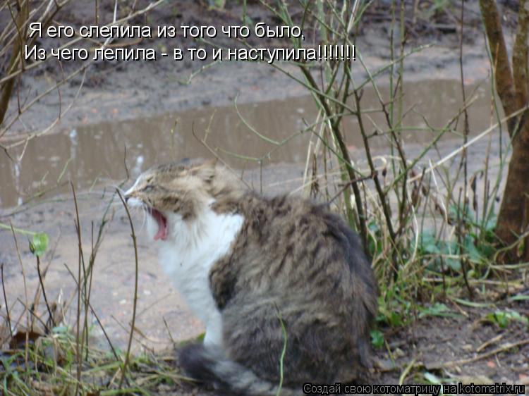 Котоматрица: Я его слепила из того что было, Из чего лепила - в то и наступила!!!!!!!