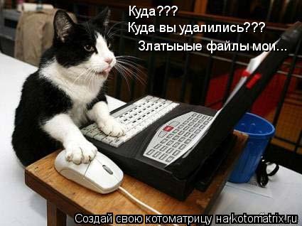 Котоматрица: Куда??? Куда вы удалились??? Златыыые файлы мои...