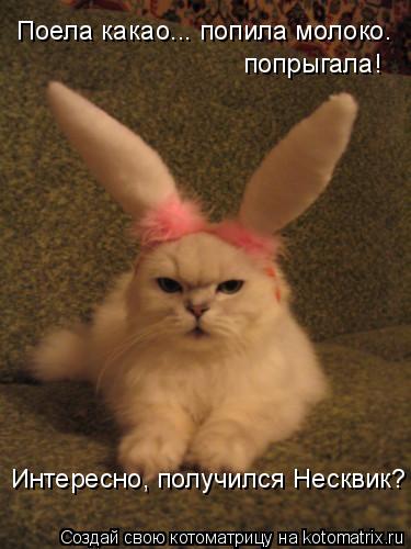 Котоматрица: Поела какао... попила молоко. попрыгала!  Интересно, получился Несквик?