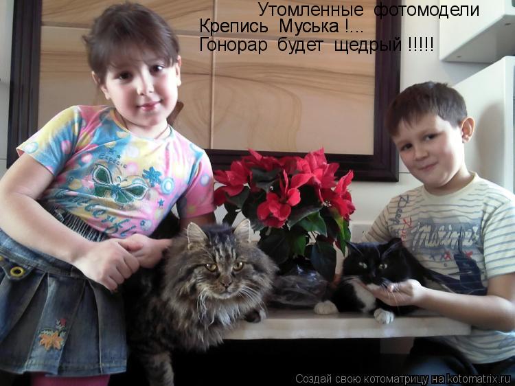 Котоматрица: Утомленные  фотомодели Крепись  Муська !... Крепись  Муська !... Гонорар  будет  щедрый !!!!!