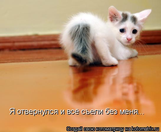 Котоматрица: Я отвернулся и всё съели без меня...
