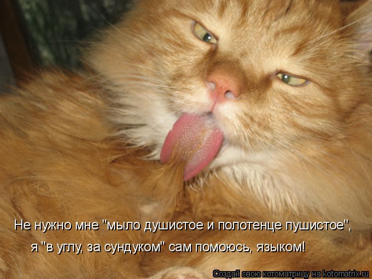 Не нужно мне "мыло душистое и полотенце пушистое", я "в углу, за сундуком" сам помоюсь, языком!... Котоматрица: Не нужно мне "мыло душистое и полотенце пушистое", я "в углу, за сундуком" сам помоюсь, языком!