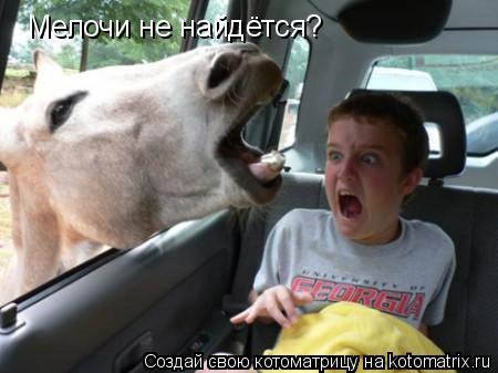 Котоматрица: Мелочи не найдётся?