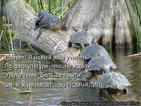 Привет! Я новый ваш учитель По физкультуре. Что, не ждали? Урока тема "Больше прыти"... Эй! Я ж не на... Котоматрица: Привет! Я новый ваш учитель По физкультуре. Что, не ждали? Урока тема "Больше прыти"... Эй! Я ж не начал... Во ПОМЧАЛИ!!!