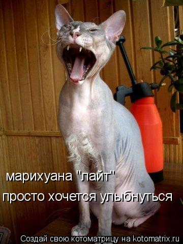 марихуана "лайт" просто хочется улыбнуться... Котоматрица: марихуана "лайт" просто хочется улыбнуться