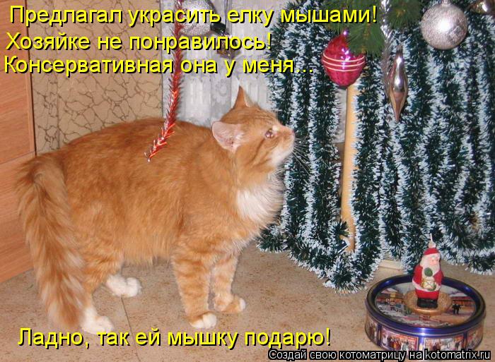 Предлагал украсить елку мышами! Хозяйке не понравилось! Консервативная она у меня... Ладно, так ей м... Котоматрица: Предлагал украсить елку мышами! Хозяйке не понравилось! Консервативная она у меня... Ладно, так ей мышку подарю!