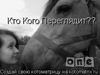 Кто Кого Переглядит??... Котоматрица: Кто Кого Переглядит??