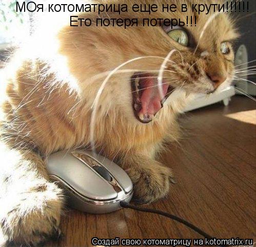 МОя котоматрица еще не в крути!!!!!! Ето потеря потерь!!!... Котоматрица: МОя котоматрица еще не в крути!!!!!! Ето потеря потерь!!!