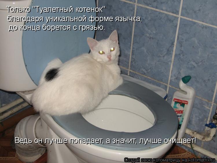 Только "Туалетный котенок" благодаря уникальной форме язычка, до конца борется с грязью. Ведь он лу... Котоматрица: Только "Туалетный котенок" благодаря уникальной форме язычка, до конца борется с грязью. Ведь он лучше попадает, а значит, лучше очищает!