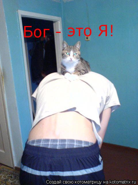 Бог - это Я!... Котоматрица: Бог - это Я!