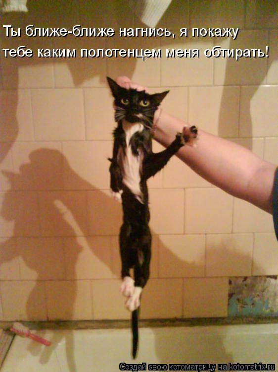 Ты ближе-ближе нагнись, я покажу тебе каким полотенцем меня обтирать!... Котоматрица: Ты ближе-ближе нагнись, я покажу тебе каким полотенцем меня обтирать!
