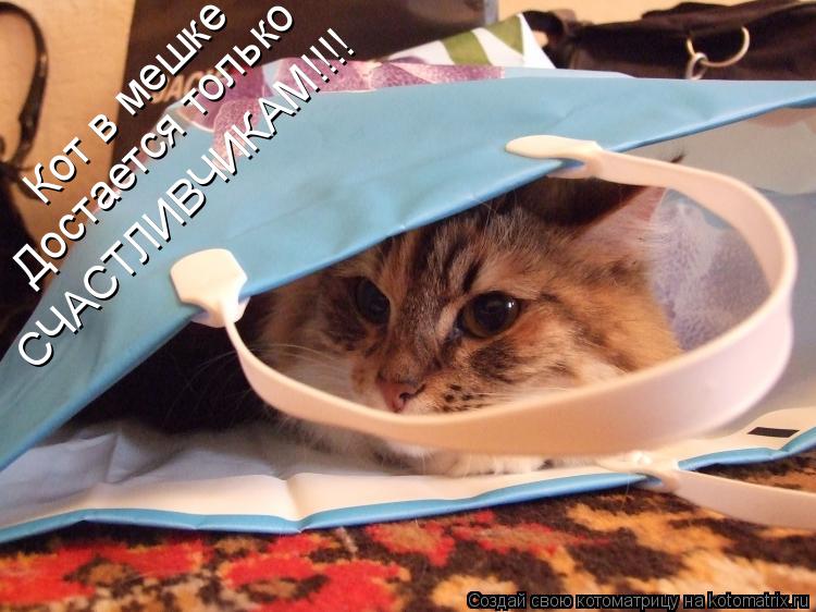 Кот в мешке Достается только СЧАСТЛИВЧИКАМ!!!!... Котоматрица: Кот в мешке Достается только СЧАСТЛИВЧИКАМ!!!!