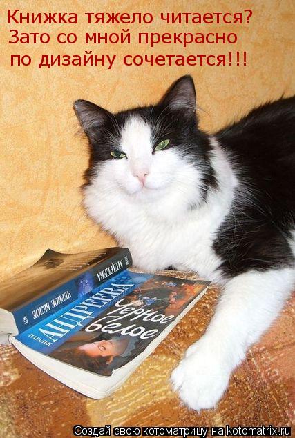 Книжка тяжело читается? по дизайну сочетается!!! Зато со мной прекрасно... Котоматрица: Книжка тяжело читается? по дизайну сочетается!!! Зато со мной прекрасно