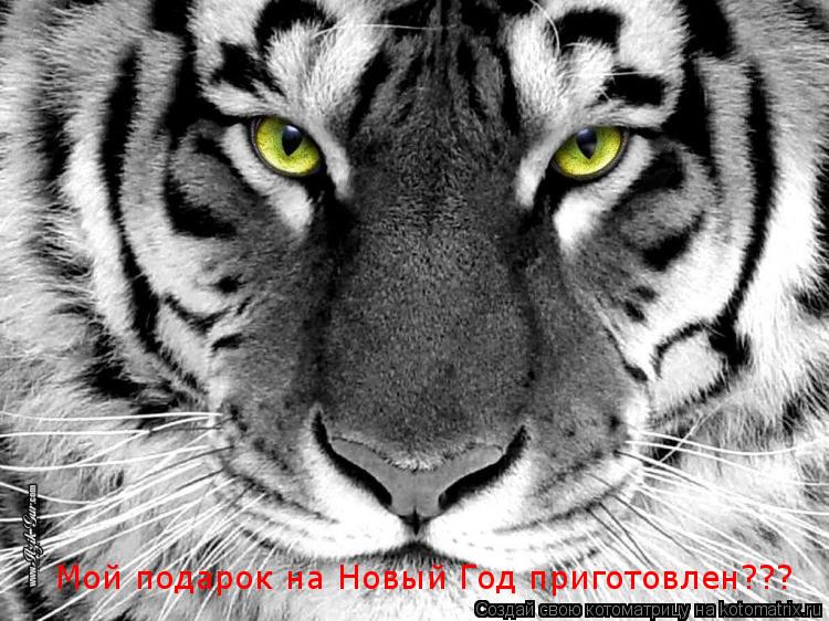 Мой подарок на Новый Год приготовлен???... Котоматрица: Мой подарок на Новый Год приготовлен???