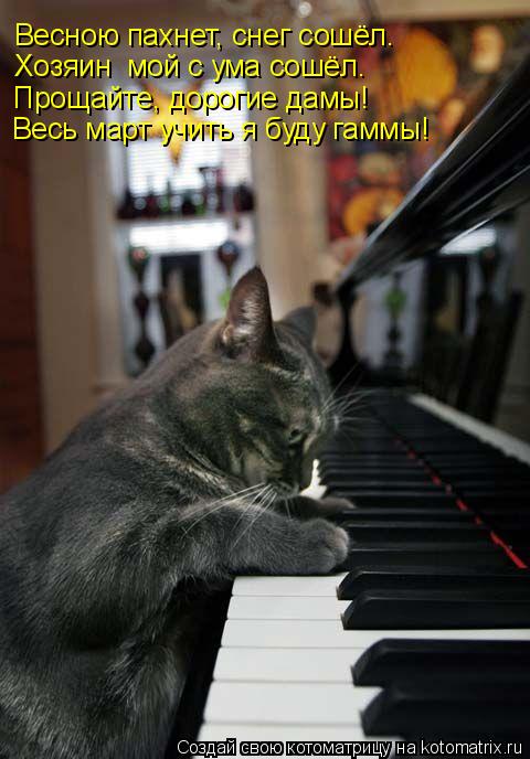 Весною пахнет, снег сошёл. Хозяин мой с ума сошёл. Прощайте, дорогие дамы! Весь март учить я буду га... Котоматрица: Весною пахнет, снег сошёл. Хозяин мой с ума сошёл. Прощайте, дорогие дамы! Весь март учить я буду гаммы!