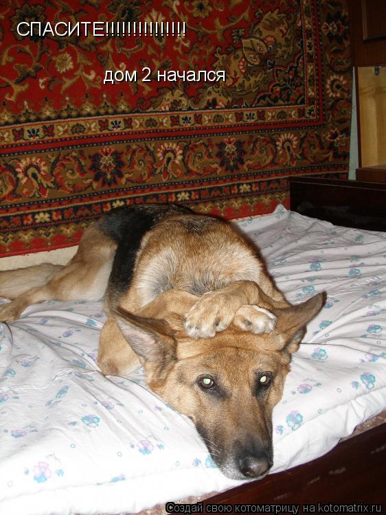 СПАСИТЕ!!!!!!!!!!!!!!! дом 2 начался... Котоматрица: СПАСИТЕ!!!!!!!!!!!!!!! дом 2 начался