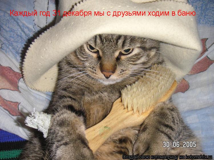 Каждый год 31 декабря мы с друзьями ходим в баню... Котоматрица: Каждый год 31 декабря мы с друзьями ходим в баню
