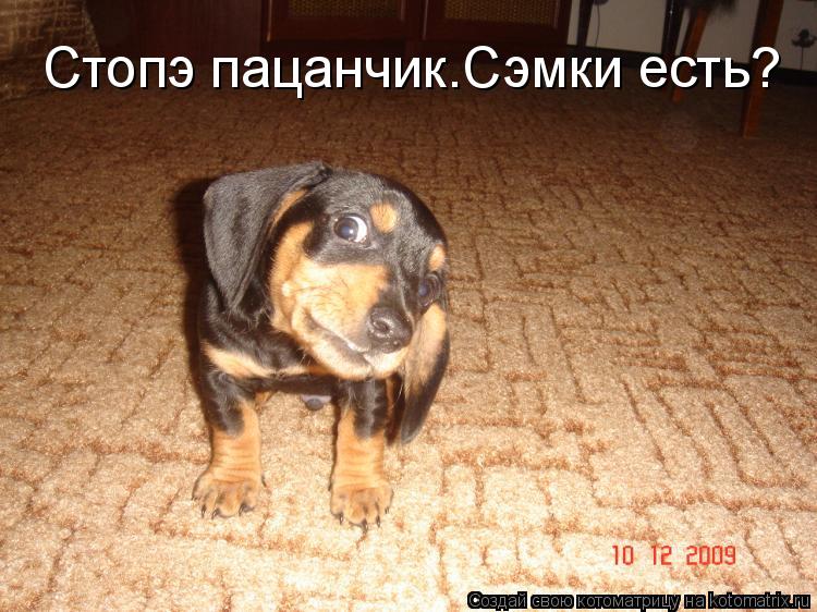 Стопэ пацанчик.Сэмки есть?... Котоматрица: Стопэ пацанчик.Сэмки есть?