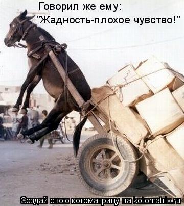 Котоматрица: Говорил же ему: "Жадность-плохое чувство!"