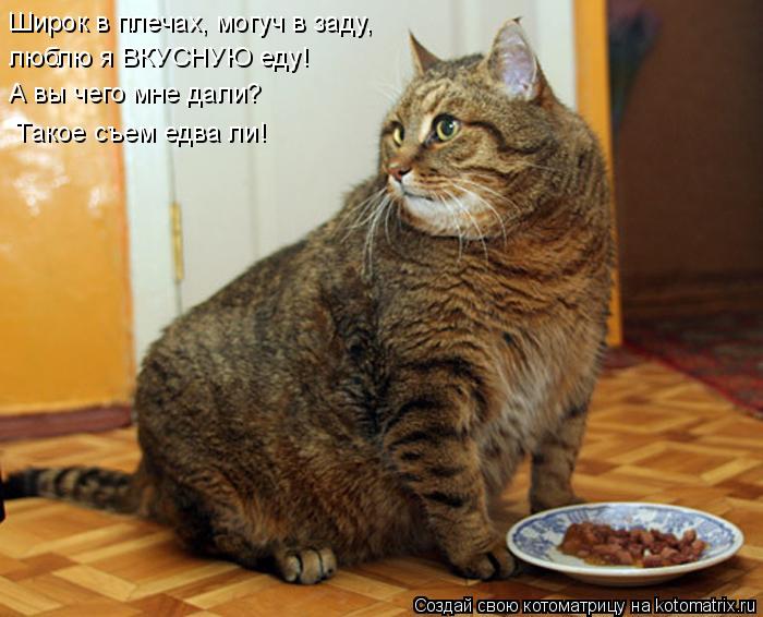 Широк в плечах, могуч в заду, люблю я ВКУСНУЮ еду! А вы чего мне дали? Такое съем едва ли!... Котоматрица: Широк в плечах, могуч в заду, люблю я ВКУСНУЮ еду! А вы чего мне дали? Такое съем едва ли!