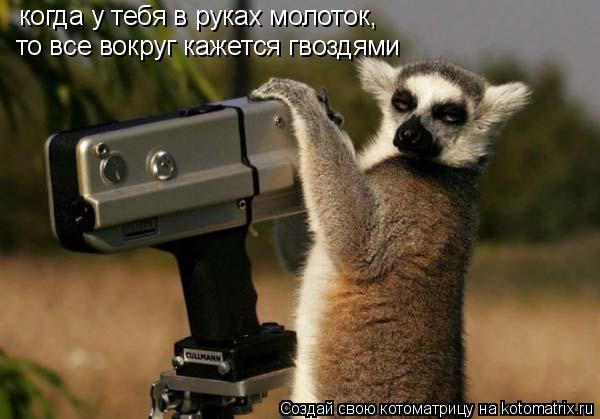 Котоматрица: когда у тебя в руках молоток,  то все вокруг кажется гвоздями