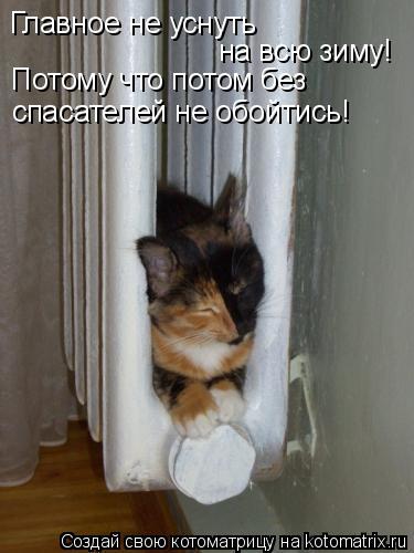 Котоматрица: Главное не уснуть на всю зиму! Потому что потом без спасателей не обойтись!