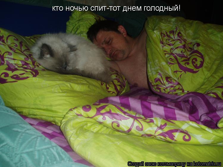 Котоматрица: кто ночью спит-тот днем голодный!