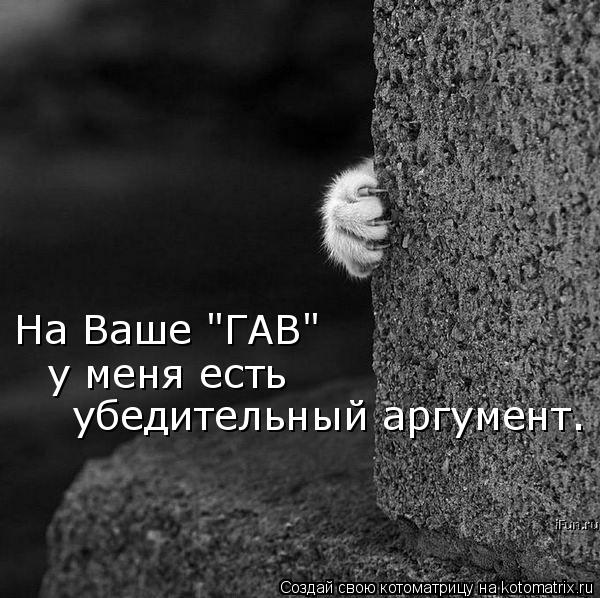 На Ваше "ГАВ" у меня есть убедительный аргумент.... Котоматрица: На Ваше "ГАВ" у меня есть убедительный аргумент.