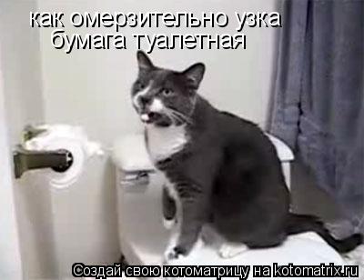 Котоматрица: как омерзительно узка бумага туалетная