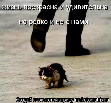 Котоматрица: жизнь прекрасна и удивительна но редко и не с нами