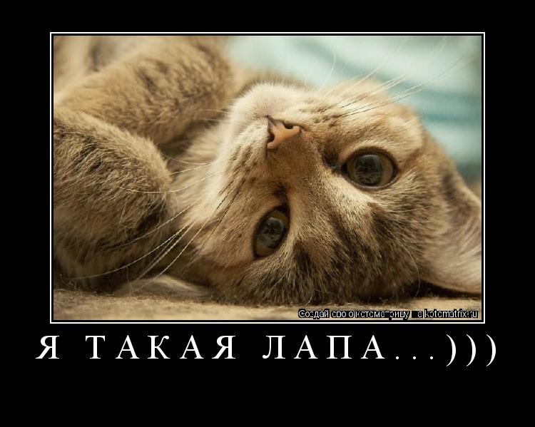 Котоматрица: Я такая лапа...))) 