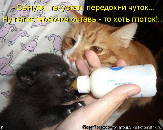- Сынуля, ты устал, передохни чуток... Ну папке молочка оставь - то хоть глоток!..... Котоматрица: - Сынуля, ты устал, передохни чуток... Ну папке молочка оставь - то хоть глоток!..