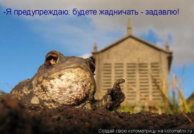 -Я предупреждаю: будете жадничать - задавлю!... Котоматрица: -Я предупреждаю: будете жадничать - задавлю!