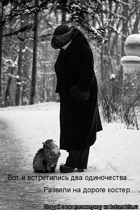 Котоматрица: Вот и встретились два одиночества... Развели на дороге костер...