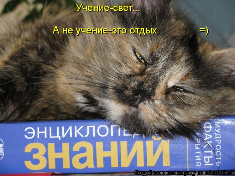 Котоматрица: Учение-свет... А не учение-это отдых               =)