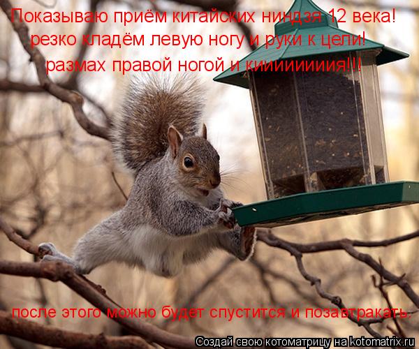Показываю приём китайских ниндзя 12 века! резко кладём левую ногу и руки к цели! размах правой ногой ... Котоматрица: Показываю приём китайских ниндзя 12 века! резко кладём левую ногу и руки к цели! размах правой ногой и киииииииия!!! после этого можно будет с