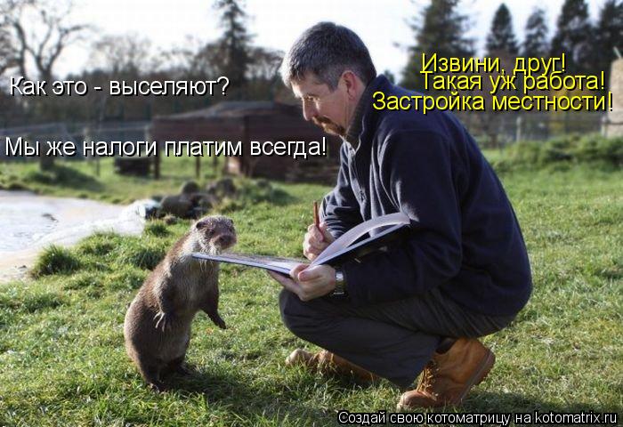 Как это - выселяют? Мы же налоги платим всегда! Извини, друг! Такая уж работа! Застройка местности!... Котоматрица: Как это - выселяют? Мы же налоги платим всегда! Извини, друг! Такая уж работа! Застройка местности!