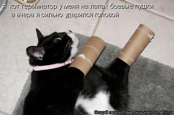 я кот терминатор у меня на лапах боевые пушки а вчера я сильно ударился головой... Котоматрица: я кот терминатор у меня на лапах боевые пушки а вчера я сильно ударился головой