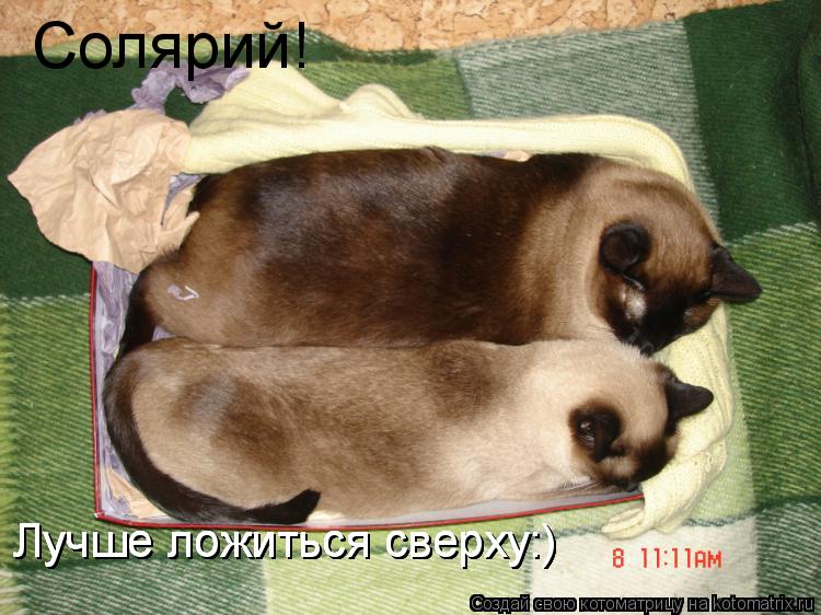 Солярий! Лучше ложиться сверху:) Лучше ложиться сверху:) Лучше ложиться сверху:) Лучше ложиться сверх... Котоматрица: Солярий! Лучше ложиться сверху:) Лучше ложиться сверху:) Лучше ложиться сверху:) Лучше ложиться сверху:)