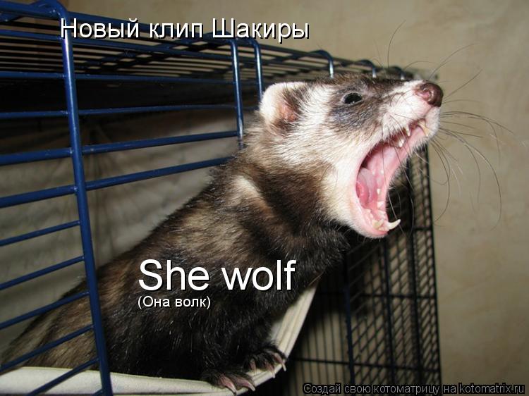 Новый клип Шакиры She wolf (Она волк)... Котоматрица: Новый клип Шакиры She wolf (Она волк)