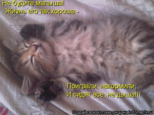 Не будите малыша! Жизнь его так хороша - Поиграли, накормили, И сидят все, не дыша!!!... Котоматрица: Не будите малыша! Жизнь его так хороша - Поиграли, накормили, И сидят все, не дыша!!!