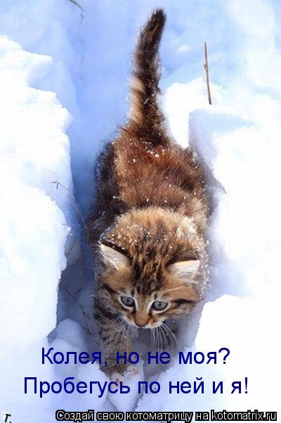 Колея, но не моя? Пробегусь по ней и я!... Котоматрица: Колея, но не моя? Пробегусь по ней и я!