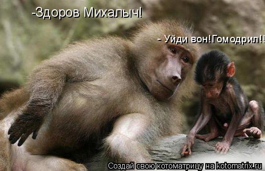 -Здоров Михалыч! - Уйди вон!Гомодрил!!!... Котоматрица: -Здоров Михалыч! - Уйди вон!Гомодрил!!!